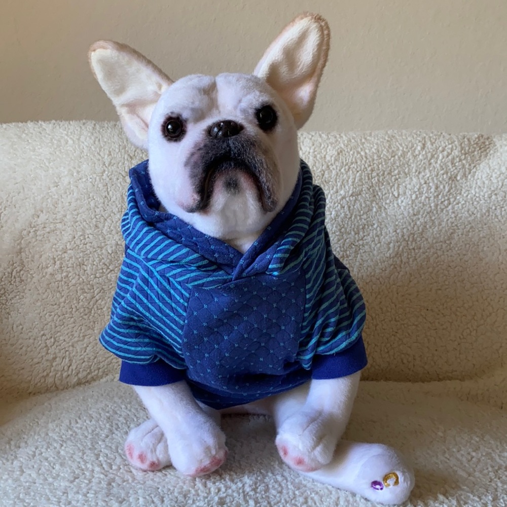 Babbs Frenchie Couture - Blue Quilted Hooded Sweatshirt